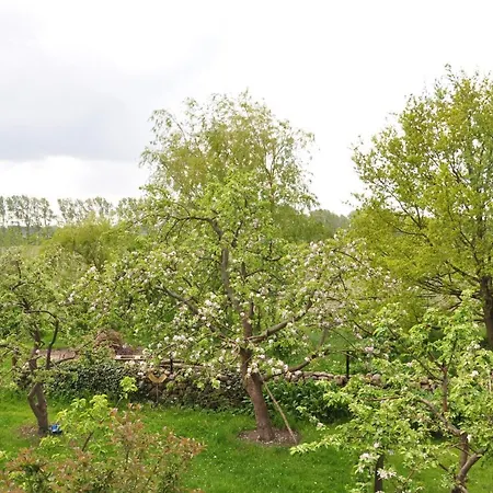 Sommerferienhaus أوستسيباد نينهاجن