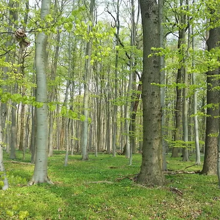 Sommerferienhaus Сasa de vacaciones