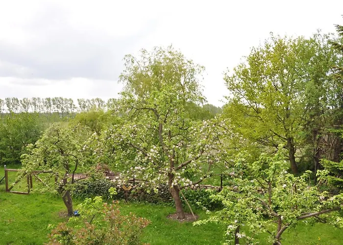 Sommerferienhaus أوستسيباد نينهاجن