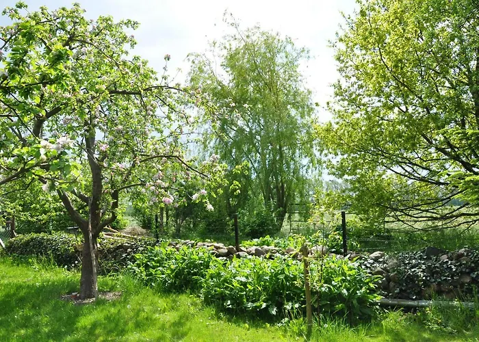 Sommerferienhaus بيت للعطل أوستسيباد نينهاجن